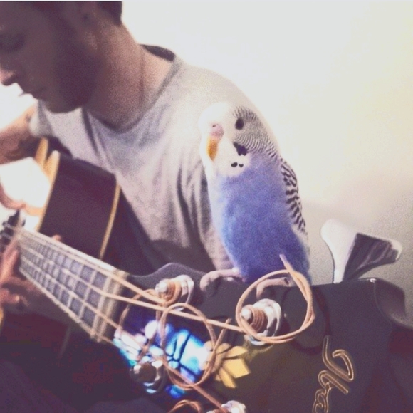 Meet your Posher, Josh - Picture 3 of 3